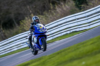 Oulton-Park-20th-March-2020;PJ-Motorsport-Photography-2020;anglesey;brands-hatch;cadwell-park;croft;donington-park;enduro-digital-images;event-digital-images;eventdigitalimages;mallory;no-limits;oulton-park;peter-wileman-photography;racing-digital-images;silverstone;snetterton;trackday-digital-images;trackday-photos;vmcc-banbury-run;welsh-2-day-enduro